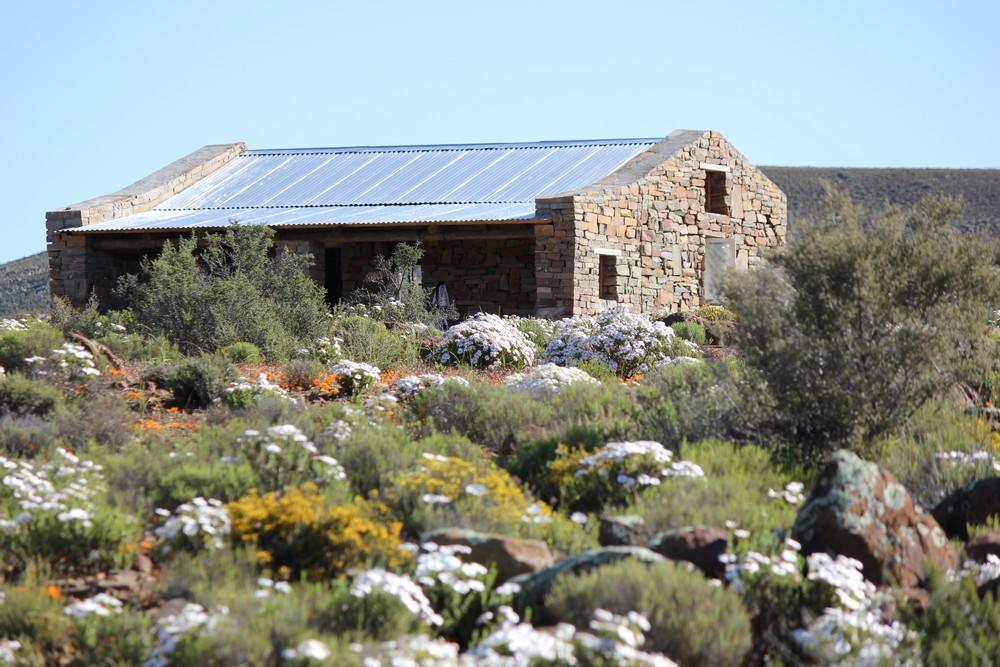 Middelfontein Farm Bed & Breakfast Sutherland Exterior photo